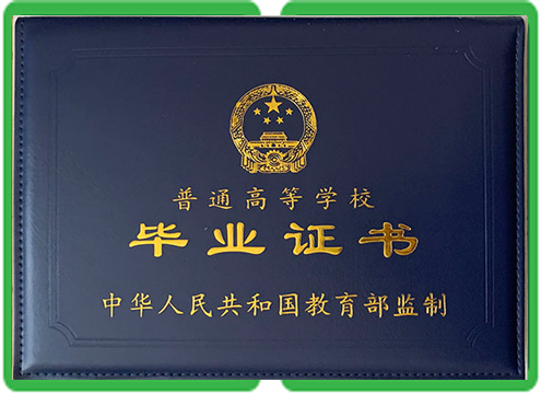 本地证件制作会取代传统办证窗口吗？